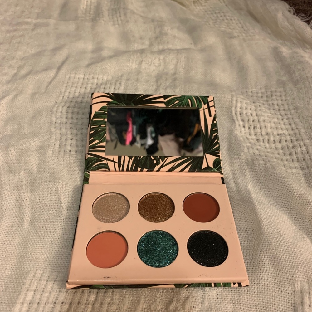 ⚡️3/$30⚡️ Dose of colors I love sarahii palette